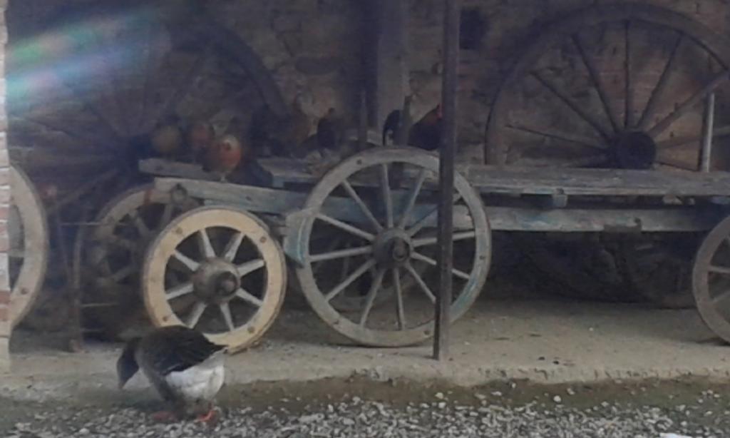 Agriturismo Il Vecchio Portico Francavilla Bisio Luaran gambar