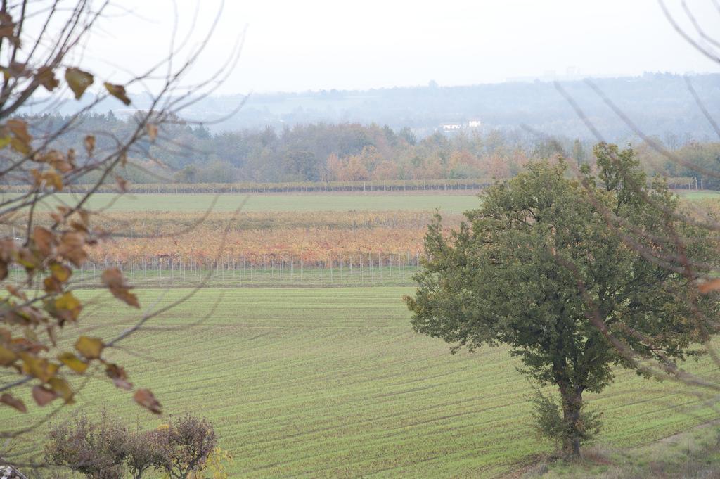 Agriturismo Il Vecchio Portico Francavilla Bisio Luaran gambar